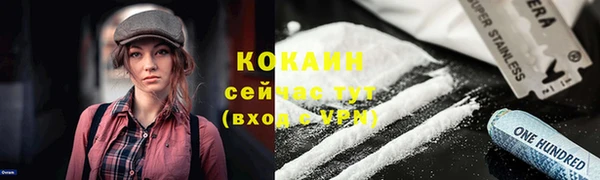 твердый Алзамай