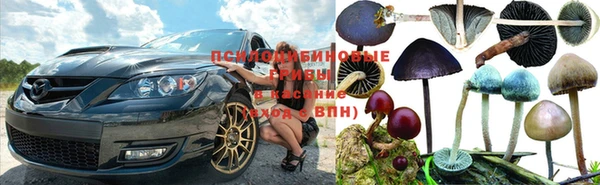 ПСИЛОЦИБИНОВЫЕ ГРИБЫ Ростов