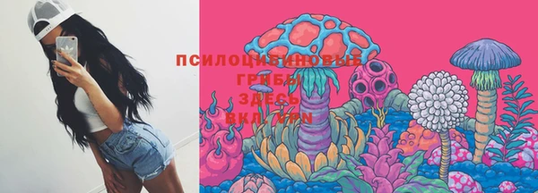 твердый Алзамай