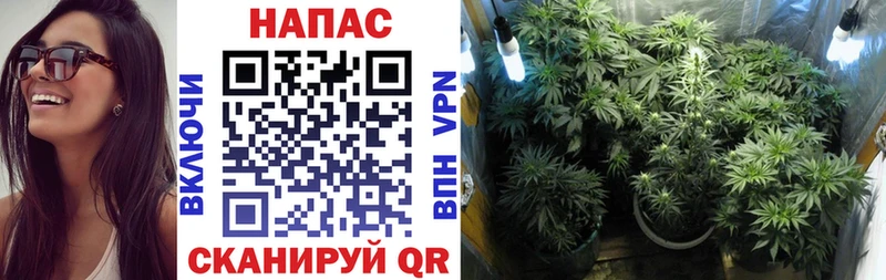 Каннабис гибрид  Салехард 